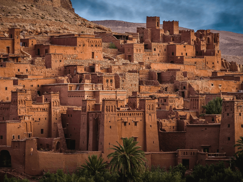 Dầu argan chỉ được trông ở vùng đất Morocco